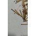 Pogo Pin P75-E2